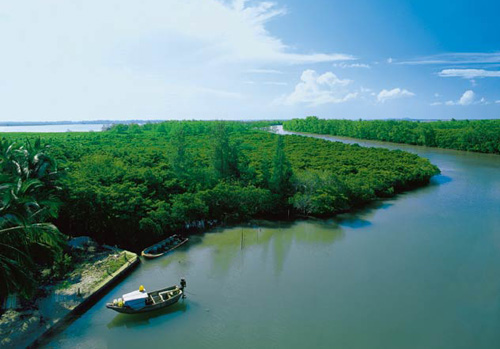 Dongzhaigang Nature Reserve, one of the 'Top 8 October destinations in China' by China.org.cn.